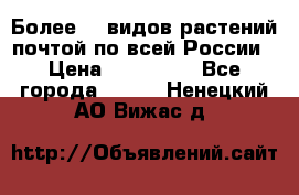 Более200 видов растений почтой по всей России › Цена ­ 100-500 - Все города  »    . Ненецкий АО,Вижас д.